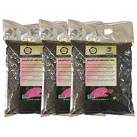 بستر آماده کشت گل آنتوریوم 2 کیلوگرمی گلباران سبز بسته سه عددی Golbarane Sabz Bastare Kesht Anthorium Flower 2kg Fertilizer Pack Of 3