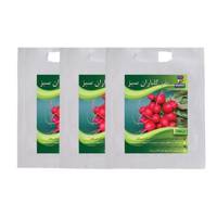 مجموعه بذر تربچه گلباران سبز بسته 3 عددی - Golbaranesabz Radish Seeds Pack Of 3