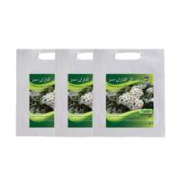 مجموعه بذر گل عروس گلباران سبز بسته 3 عددی - Golbaranesabz Aroos Flower Seeds Pack Of 3