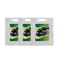 مجموعه بذر بادمجان دلمه ای گلباران سبز بسته 3 عددی Golbaranesabz Dolma Eggplant Seeds Pack Of 3