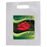 بذر گل ناز آفتابی گلباران سبز - Golbaranesabz Rose Moss Flower Seeds