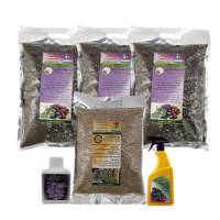 مجموعه خاک برهان گلباران سبز Golbaranesabz Borhan Soil Fertilizer Pack