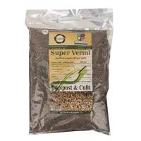 کود سوپر ورمی گلباران سبز بسته 2 کیلوگرمی Golbarane Super Verm Fertilizer 2 Kg