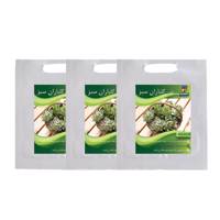 مجموعه بذر کنگر فرنگی گلباران سبز بسته 3 عددی Golbaranesabz Artichoke Seeds Pack Of 3