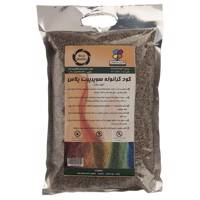 کود گرانوله سوپر پیت پلاس خود رنگ گلباران سبز بسته 1 کیلوگرمی - Golbarane Sabz Self Color Super Peat Plus Granole Fertilizer 1 Kg