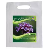 بذر گل شاه پسند گلباران سبز - Golbaranesabz Verbena Flower Seeds