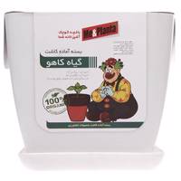 مجموعه آماده کاشت می اند پلنتا گیاه کاهو Me And Planta Lettuce Gardening Pack