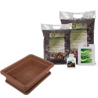 مجموعه کاشت سبزی شاهی گلباران سبز - Golbaranesabz Garden cress Gardening Pack