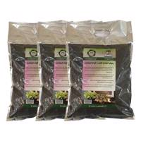 بستر آماده کشت گیاه فیتونیا 2 کیلوگرمی گلباران سبز بسته سه عددی Golbarane Sabz Bastare Kesht Fittonia 2Kg Fertilizer Pack Of 3