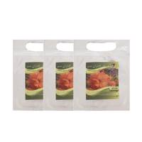 مجموعه بذر گل ستاره ای گلباران سبز بسته 3 عددی - Golbaranesabz Aster Flower Seeds Pack Of 3