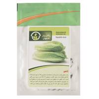 بذر کاهو پاکان بذر Pakan Bazr Lettuce Seeds