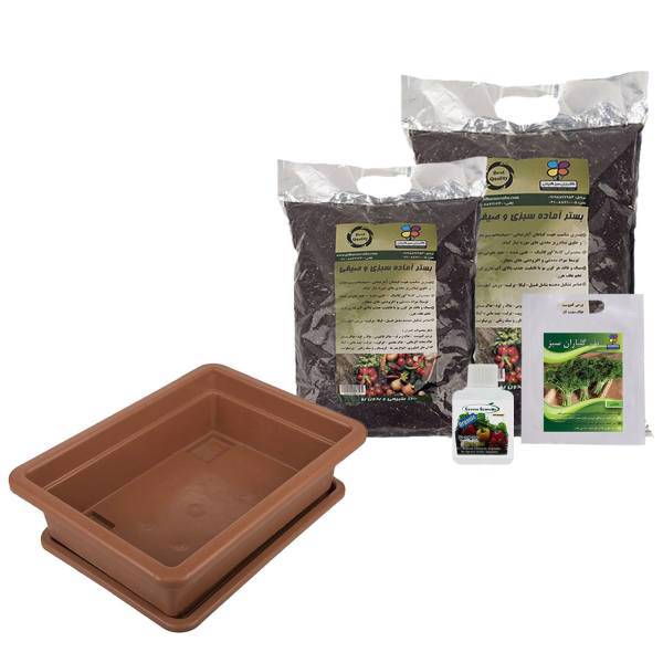 مجموعه کاشت سبزی جعفری گلباران سبز، Golbaranesabz Parsley Gardening Pack