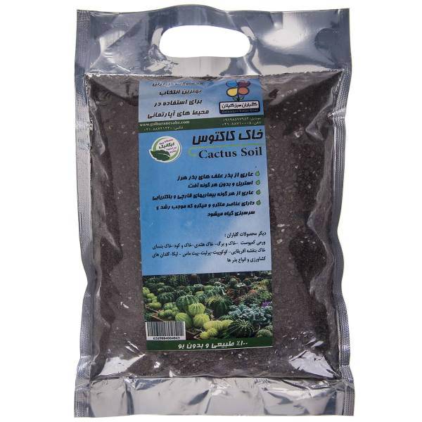 خاک کاکتوس گلباران سبز بسته 1 کیلوگرمی، Golbarane Sabz 1 Kg Cactus Soil Fertilizer