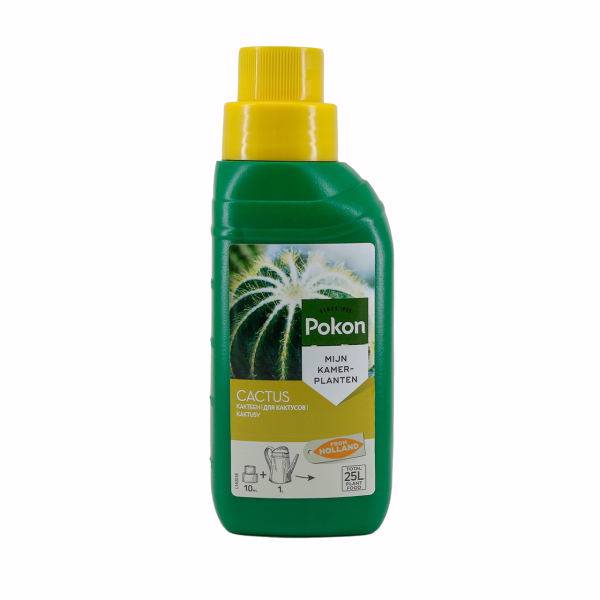 کود مایع پوکون مخصوص کاکتوس و ساکولنت 250 میلی لیتر، Pokon Liquid Fertilizer Special For Cactus And Succulent 250 ml