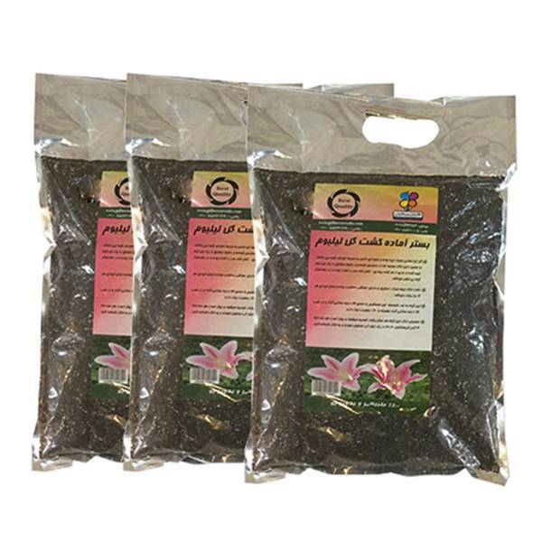 بستر آماده کشت گل لیلیوم 2 کیلوگرمی گلباران سبز بسته سه عددی، Golbarane Sabz Bastare Kesht Lilium Flower 2kg Fertilizer Pack Of 3