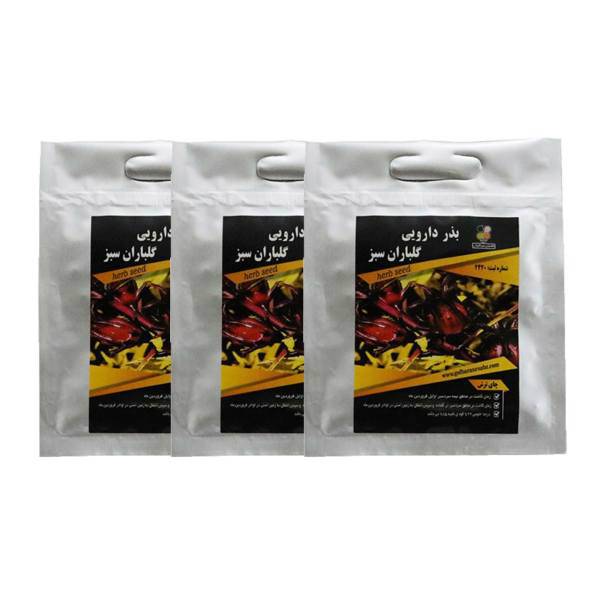 مجموعه بذر چای ترش گلباران سبز بسته 3 عددی، Golbaranesabz Hibiscus Sabdariffa Seeds Pack Of 3