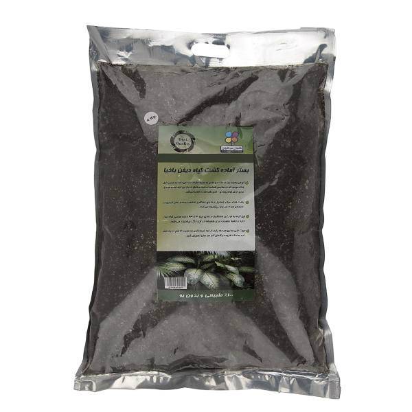 بستر آماده کشت گیاه دیفن باخیا گلباران سبز بسته 4 کیلوگرمی، Golbarane Sabz Bastare Kesht Dieffenbachia 4 Kg Fertilizer