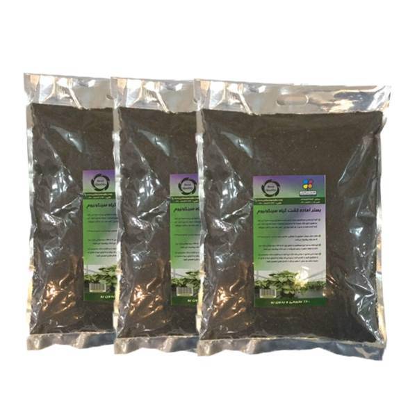 بستر آماده کشت گیاه سینگونیوم 4 کیلوگرمی گلباران سبز بسته سه عددی، Golbarane Sabz Bastare Kesht Syngonium 4kg Fertilizer Pack Of 3