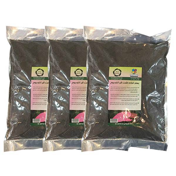 بستر آماده کشت گل آنتوریوم 4 کیلوگرمی گلباران سبز بسته سه عددی، Golbarane Sabz Bastare Kesht Anthorium Flower 4kg Fertilizer Pack Of 3