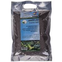 خاک کاکتوس گلباران سبز بسته 1 کیلوگرمی Golbarane Sabz 1 Kg Cactus Soil Fertilizer