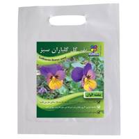 بذر گل بنفشه الوان گلباران سبز Golbaranesabz Colored Violet Flower Seeds